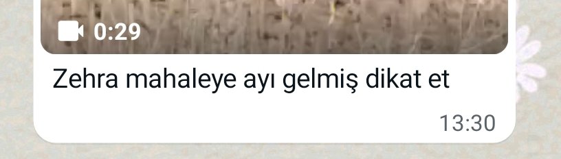 nasıl bi yerde yaşıyorum arkadaş gsjdhsjh ayıdan nasıl korunur bilen varsa bi yardım edin