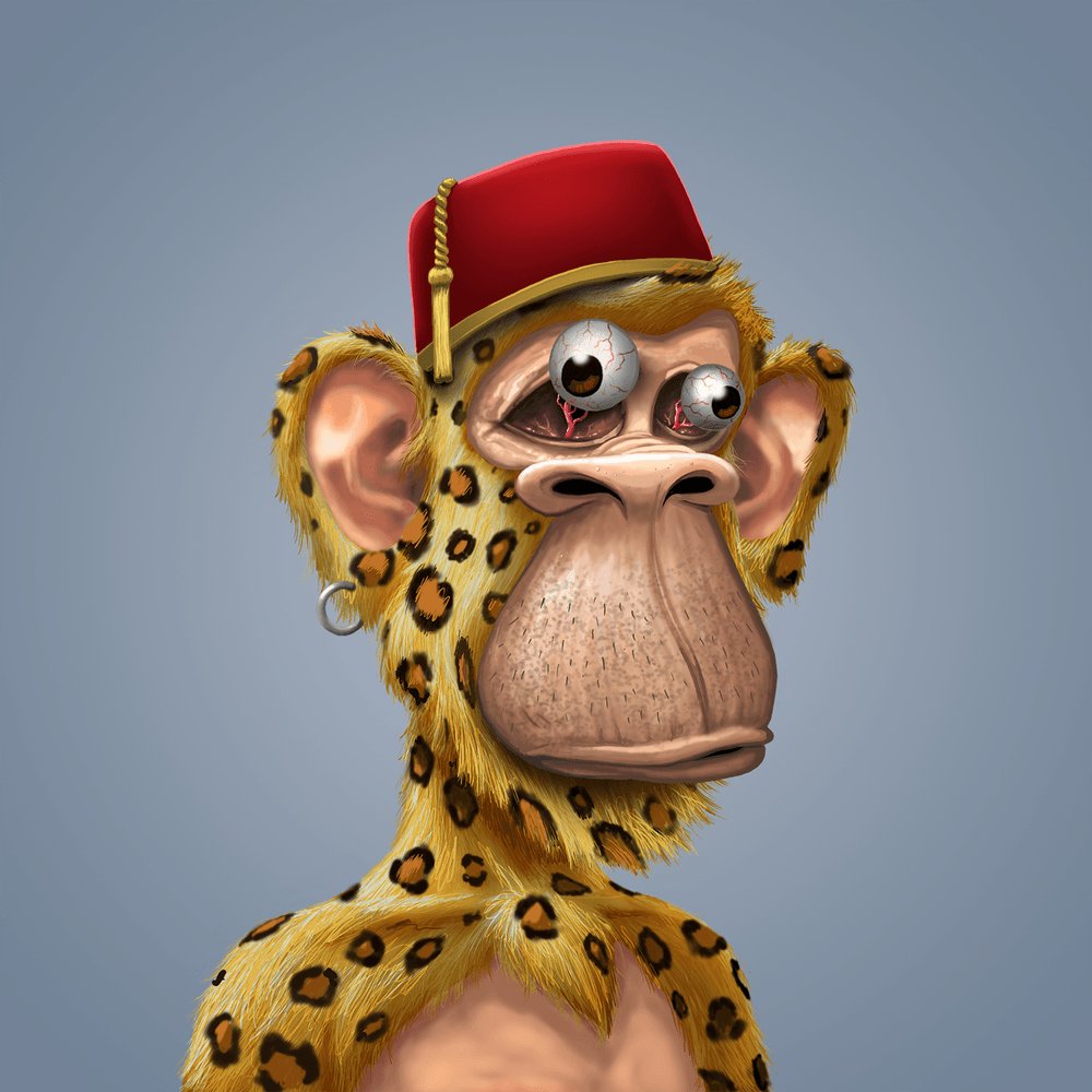 ojkolnft's tweet photo. Welcome @GrandpaApes https://t.co/oEBYbSb8W4
