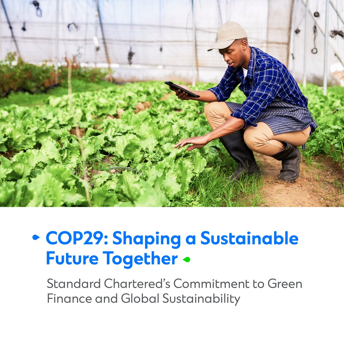 StanChart TZ tweet media