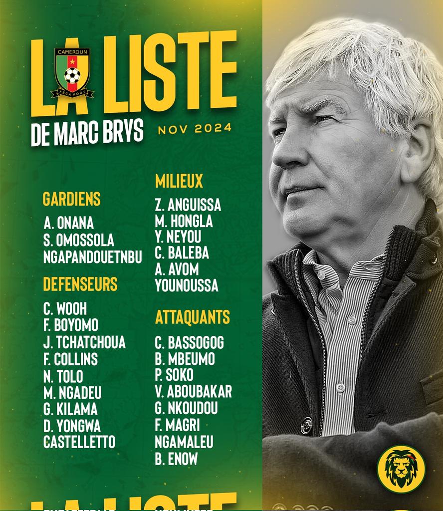 AllezLesLions tweet media
