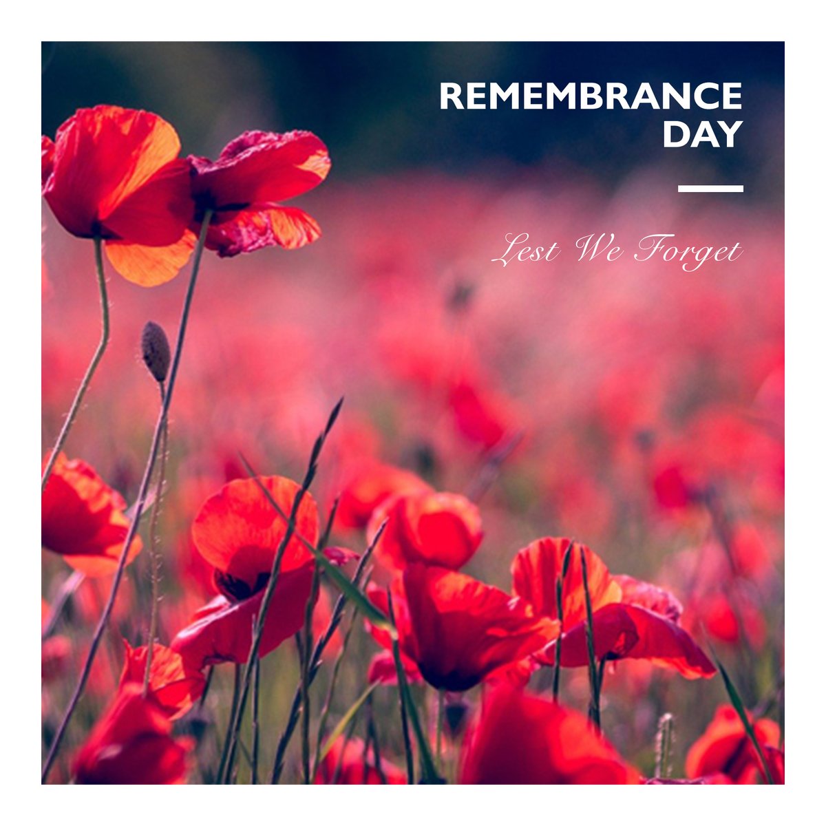 Today, we pause to remember and honour all those who have served and sacrificed for our country. 🌺

On this Remembrance Day, we reflect on the bravery, dedication, and courage of our servicemen and women. Lest we forget.

#RemembranceDay #LestWeForget