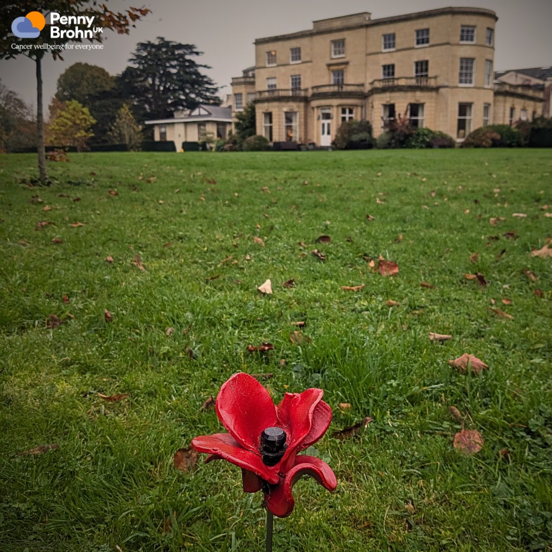 At the going down of the sun and in the morning. 

We will remember them.