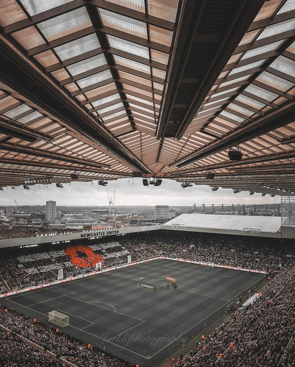 Magpie 24/7 tweet media