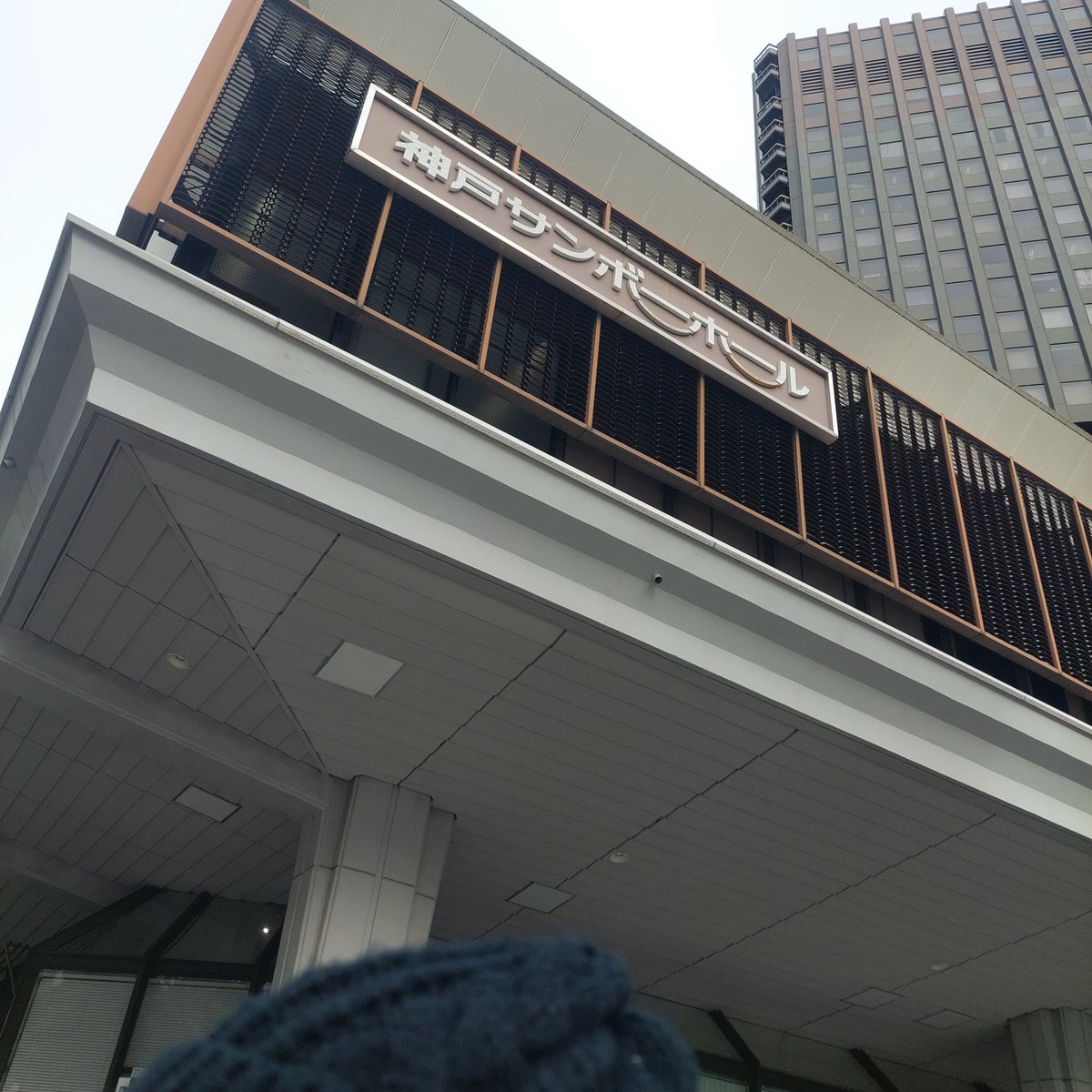 FuuuFuwa's tweet photo. ずーっと前から欲しかった
マツカサヤモリお迎えしました❤

置いてるお店多くて迷ってたら
人気で次々売れてってたけど、
可愛い子お迎えできてよかった(*´ω`*)

 #burikura 
 #マツカサヤモリ https://t.co/cryOfi596D