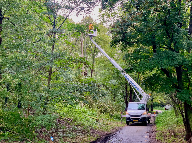 Er wordt volop gewerkt in de Scheveningse Bosjes. Over het bosbeheer krijgt de gemeente veel vragen van bezoekers. Die vragen worden beantwoord tijdens een wandeling  op maandag 18 november. bit.ly/3ChXL7c