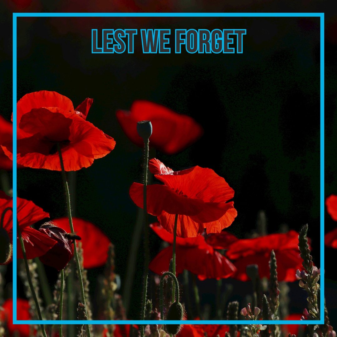 This Sunday, let us remember those who have so bravely given their lives for us. It is only through their immense courage and sacrifice that we have been able to make great strides forward.

We will remember them.