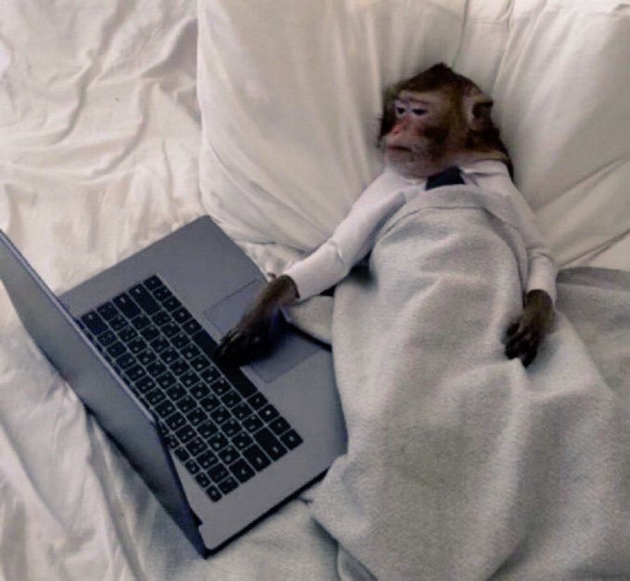 Im_Junaid_Ch's tweet image. Sundays are for lovers...

Me: Next episode..😌🤭