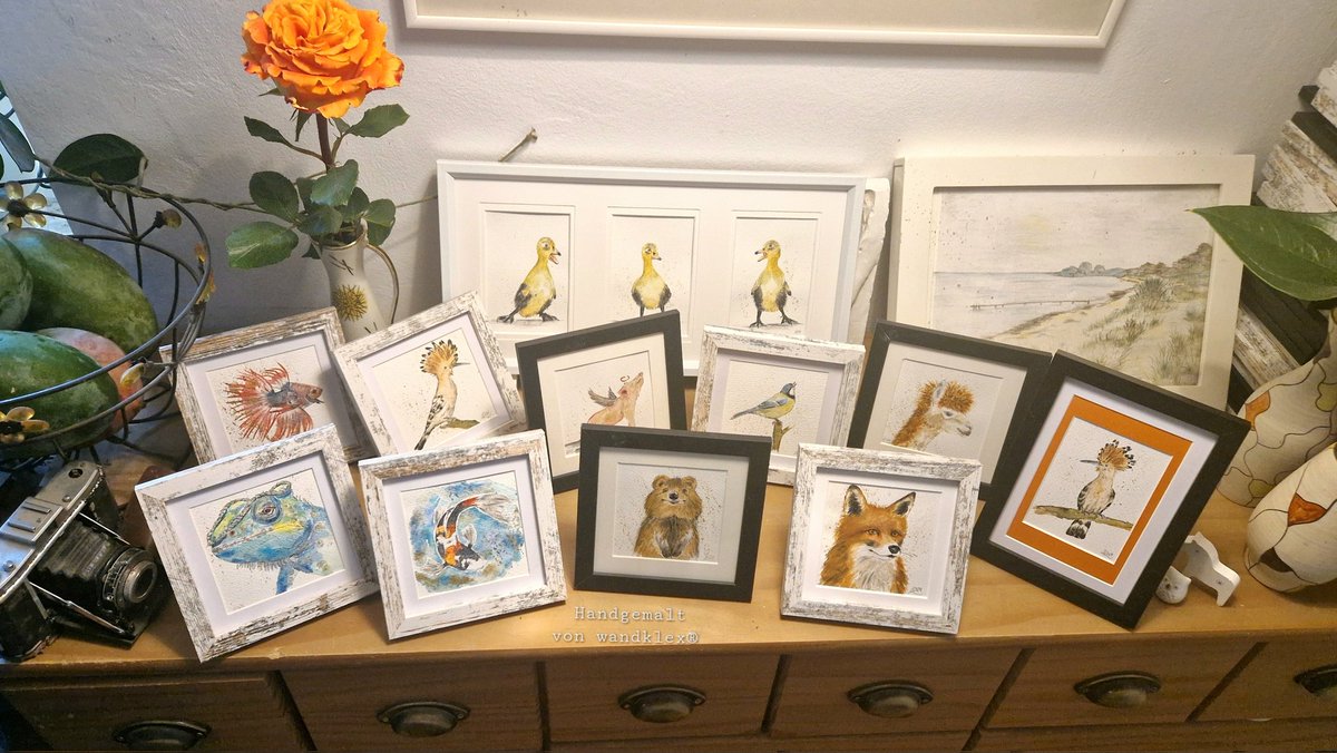 Es ist Sonntag, also wie immer Zootag  - hier also die aktuell direkt verfügbaren freilaufenden #wandklex Tiere. Alle sind momentan im Original im Klexshop in der Tierrubrik auf wandklex.art/page/tiermotiv… zu finden.