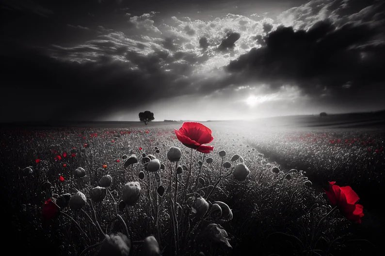 Altofts Cricket Club (@altoftscc) on Twitter photo They shall grow not old, as we that are left grow old; Age shall not weary them, nor the years condemn. At the going down of the sun and in the morning. We will remember them.
#RemembranceDay2024 They shall grow not old, as we that are left grow old; Age shall not weary them, nor the years condemn. At the going down of the sun and in the morning. We will remember them.
#RemembranceDay2024