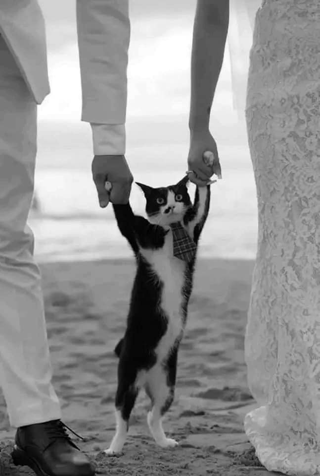 @ (@anthraxxx781) on Twitter photo 