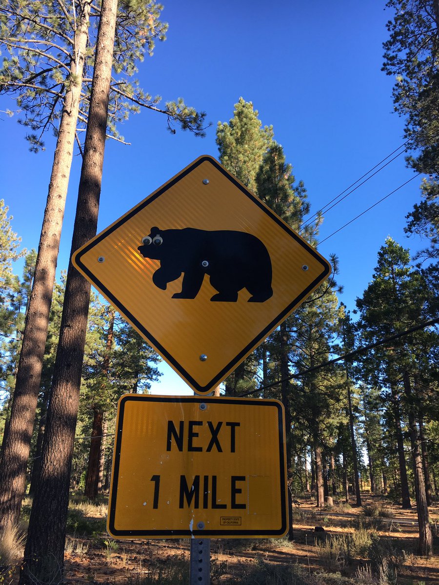 Justin Bateman tweet media