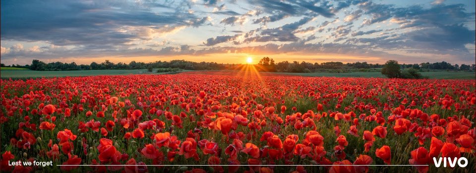 Today it is Remembrance Sunday and it is Armistice Day tomorrow - a time for us all to remember the brave British and Commonwealth military and civilian servicemen and women who have made sacrifices to defend us all.

#LestWeForget

#RemembranceSunday #ArmisticeDay