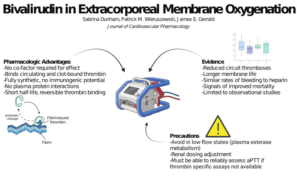 JCVPOnline's tweet photo. Bivalirudin Shows Promise in ECMO Anticoagulation Management
https://t.co/Xo4i4KqSCG
#ECMO #CriticalCare #Bivalirudin #Anticoagulation #CardiacSupport https://t.co/8zduXtkGVl