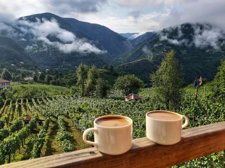 بدأت الشمس لامعة كأنما غسلتها الملائكه بالأمس☕️

#حروف_وقهوة 
#رباب_الكلم