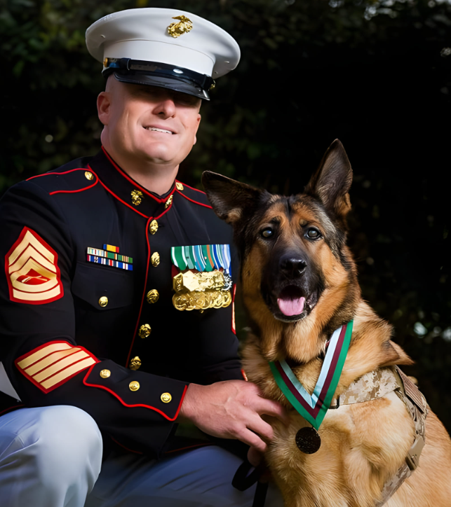 𝕏 Dogs tweet media