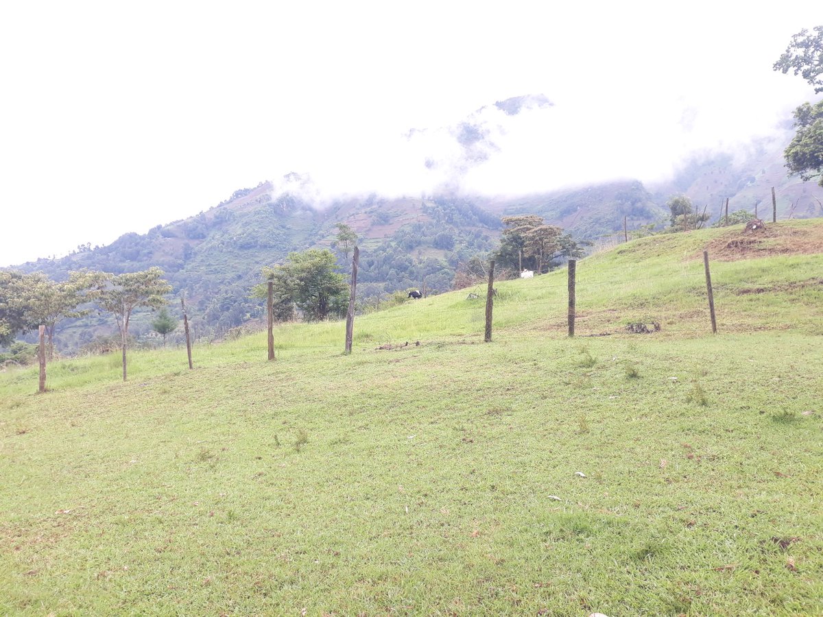 Elijah Cherutich™️ (@cherutich_kipla) on Twitter photo This is Kureswo Hotsprings, South South Ward, Keiyo south Subcounty, Elgeyo Marakwet County. An adventurers aesthetic beauty of Nature. Come sample the hike and you will love.
<a href="/magicalkenya/">Kenya Tourism Board</a>
#TembeaKenya
#Magicalkenya
#HiddenGemsKE
#LandscapesKE
#AdventureKE This is Kureswo Hotsprings, South South Ward, Keiyo south Subcounty, Elgeyo Marakwet County. An adventurers aesthetic beauty of Nature. Come sample the hike and you will love.
<a href="/magicalkenya/">Kenya Tourism Board</a>
#TembeaKenya
#Magicalkenya
#HiddenGemsKE
#LandscapesKE
#AdventureKE