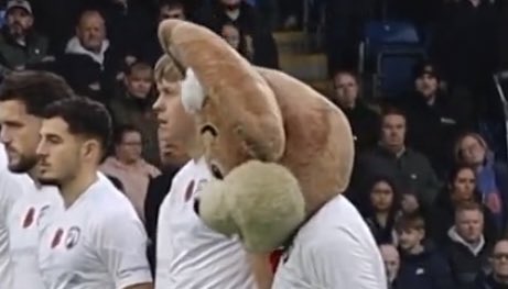 Mascots Minute Silence (@mascotsilence) on Twitter photo 