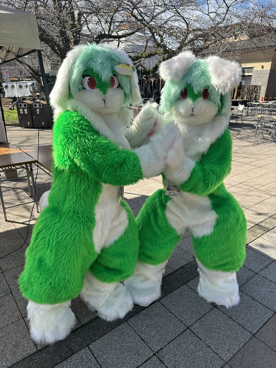 2ショット❣️
#Kemocon17 
<a href="/p8a2n9i/">ぱにっく🐕</a> 
<a href="/yu_ta3218/">ゆーた</a> 
<a href="/migta29/">みくたomrice/ミドリ/ブルー/レガリス👉Kemocon18</a>