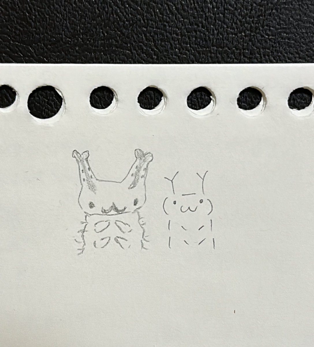 虫好きの蝶子 tweet media