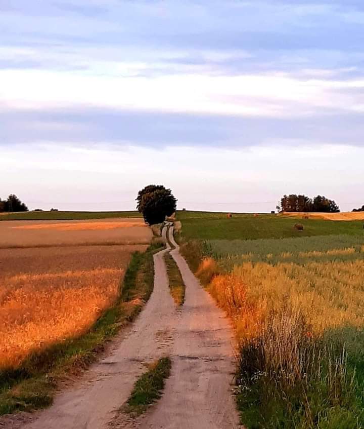 U Pana Boga na Podlasiu 😯😲😯