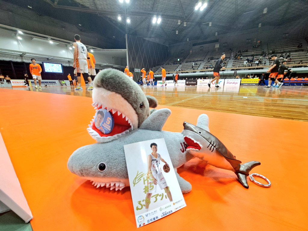 Rimam2027's tweet photo. 🦈2024/11/10🦈
今シーズン初パッツ観戦⛹

『楽しかった』の一言です😇

ブロマイド当選したｰｰ🦈♡

来週からノンストップでミニバス試合が激務🥲🥲

また観戦行けますように🙏

#山口パッツファイブ https://t.co/MiIlwDKSwW