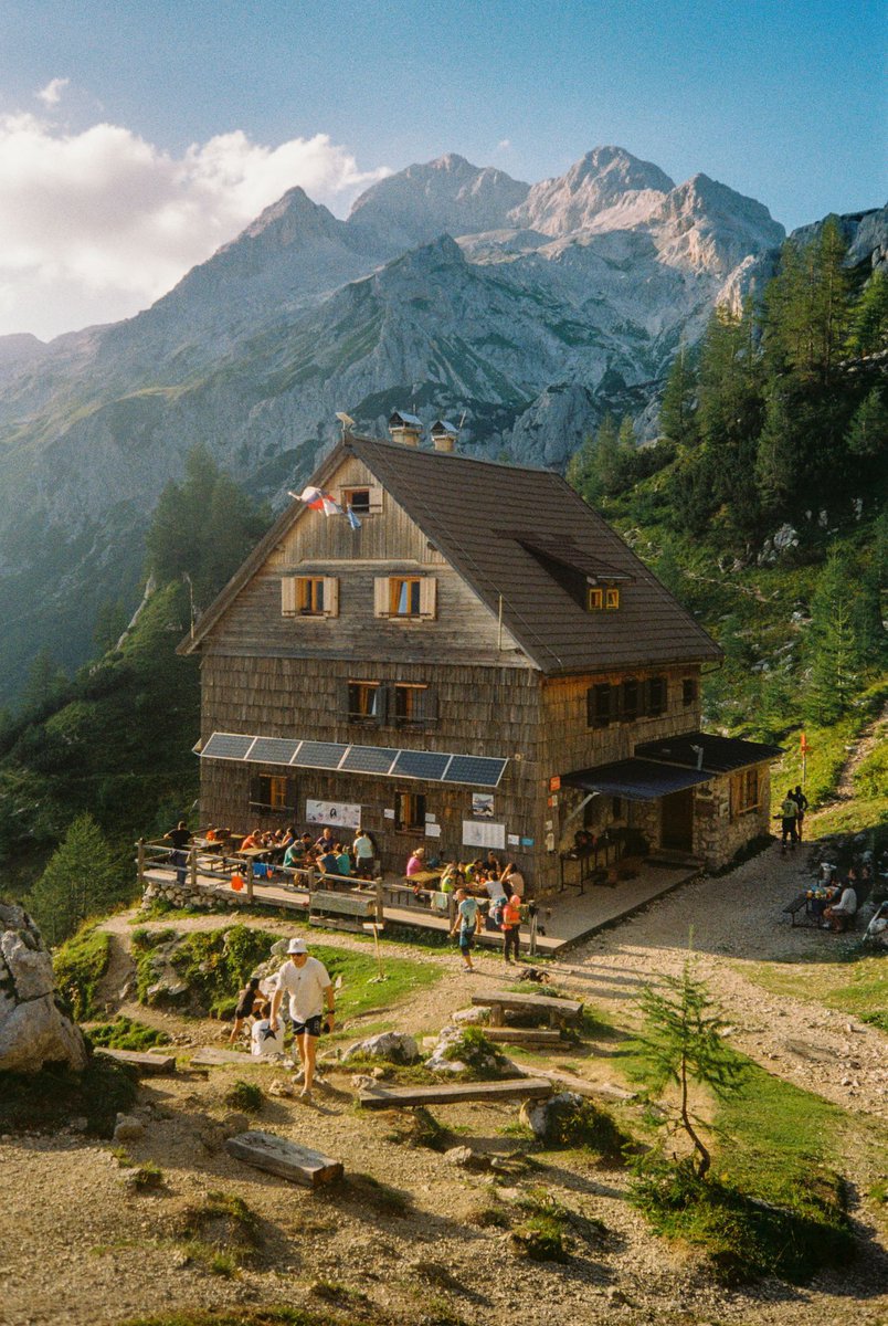 Jade Stephens tweet media