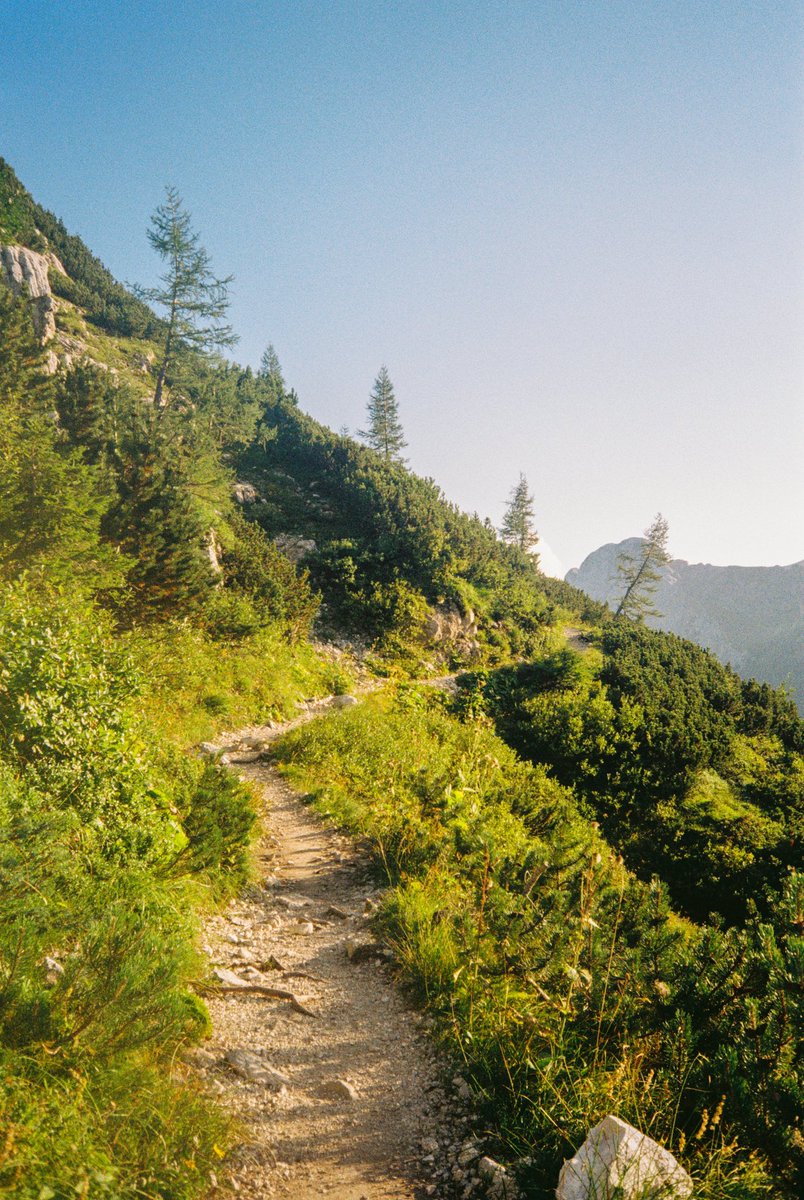 Jade Stephens tweet media