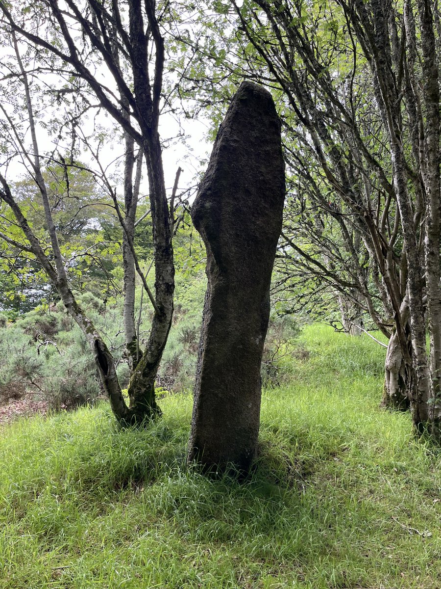 anniescottarch's tweet photo. Close to the very well known stone circle at #Midmar is this friend #standingstoneSunday https://t.co/RWBAjSEj0Y