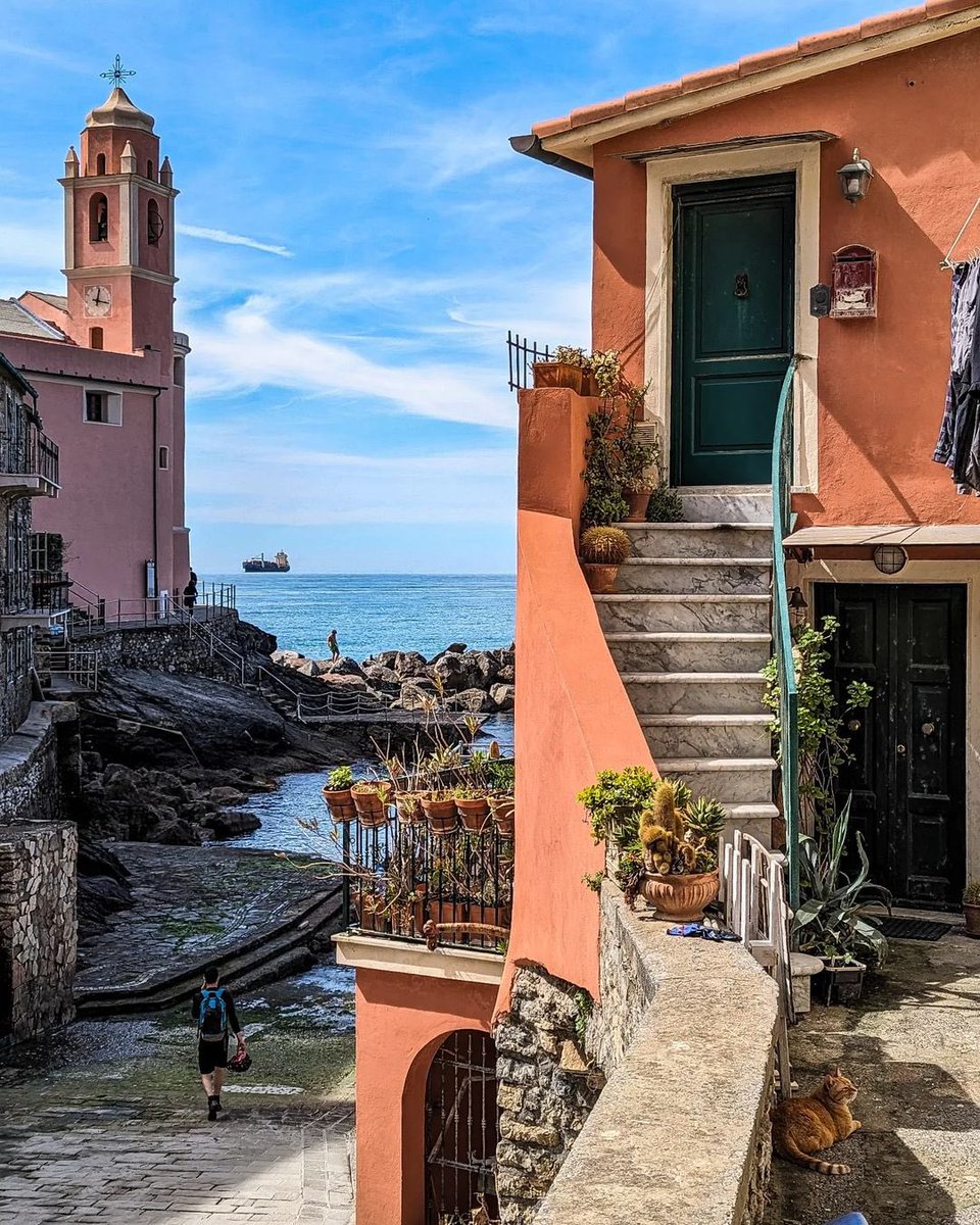 lamialiguria's tweet image. 🏘️🌊 A novembre il #GolfodeiPoeti regala panorami unici sul mare 

📍Come #Tellaro, tra i borghi più belli d’Italia a pochi minuti di auto da #Lerici: raggiungibile percorrendo una strada che attraversa la #CalettadiMaralunga e la #BaiadiFiascherino 

📸 @roberta.lucchesi