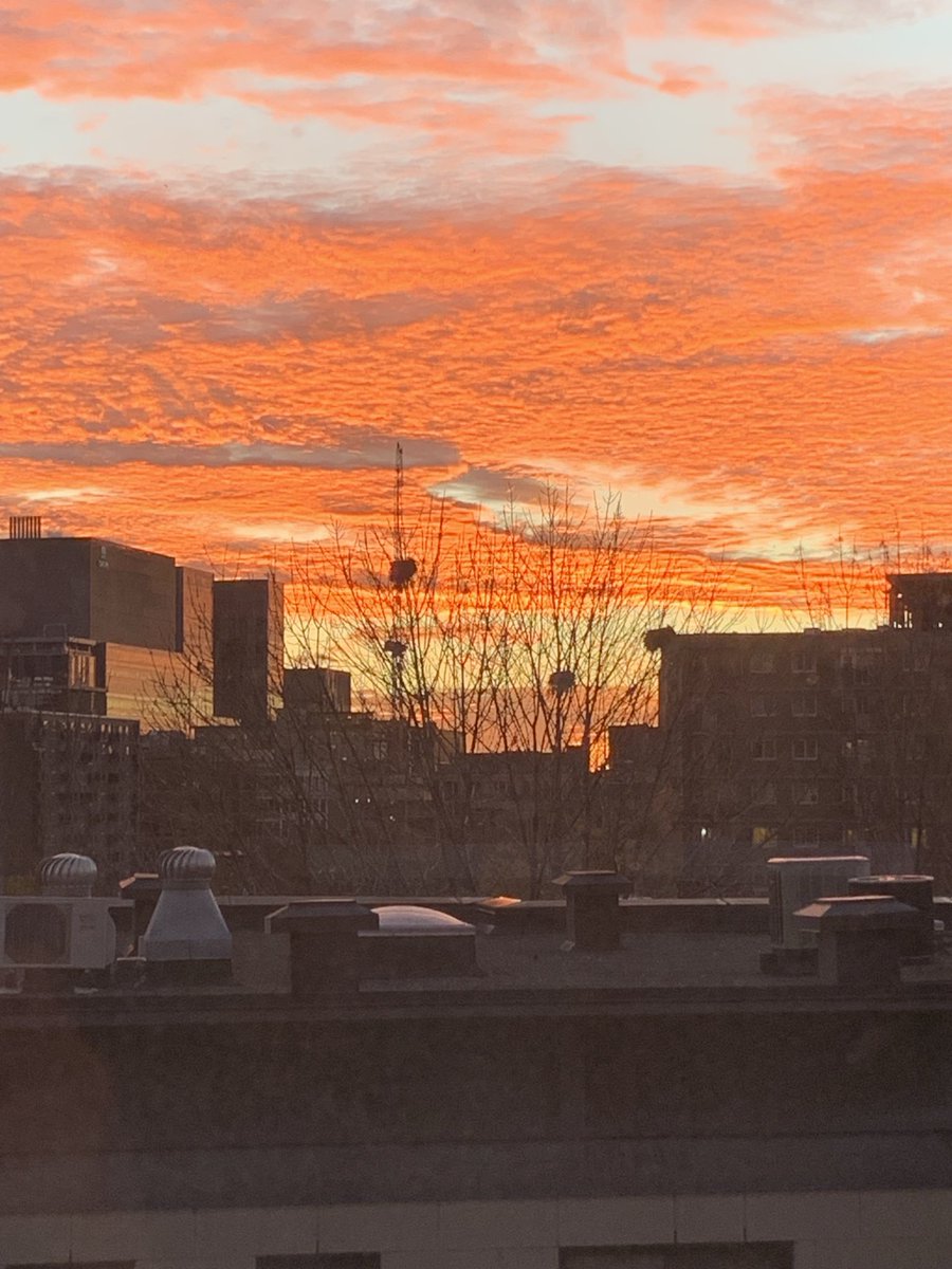 chantal hébert tweet media