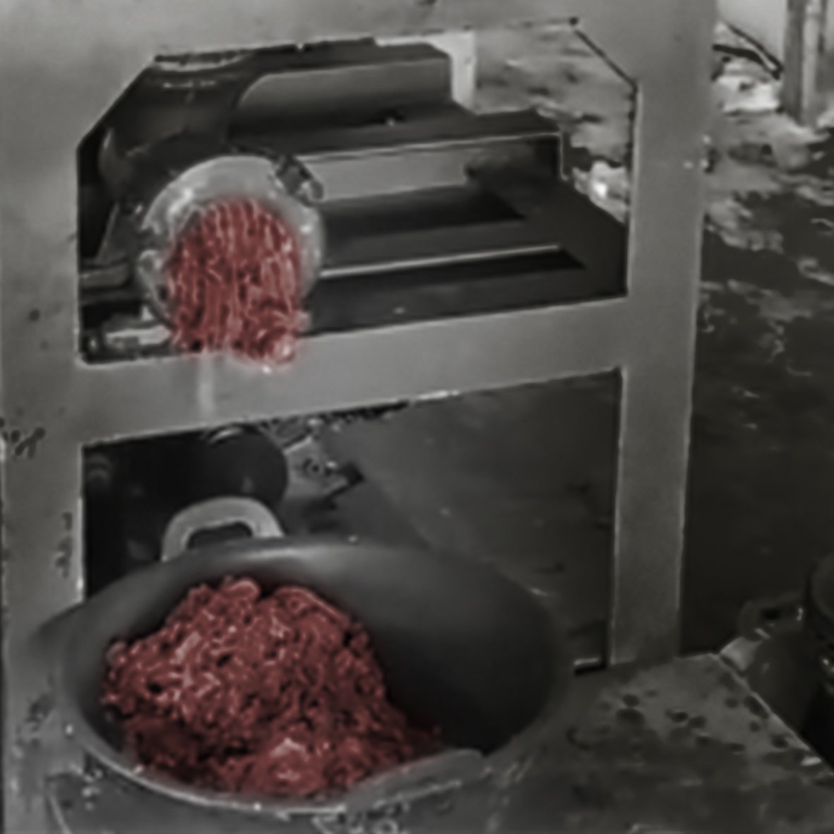 Creepylogy tweet media