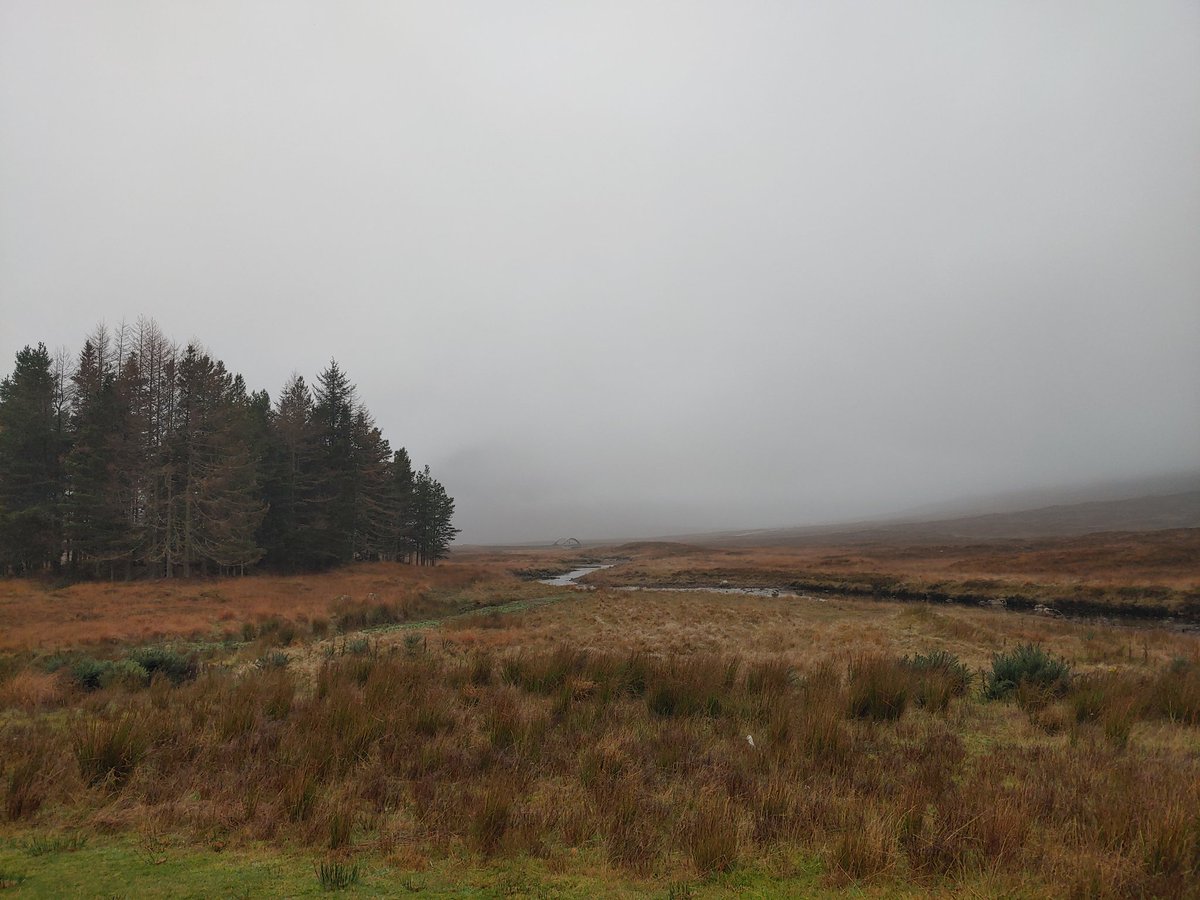 Yesterday I was at the wedding of my good pals Sam and Claire in beautiful Glencoe. They asked me to do a special live Bride v Groom edition of Bullseye, because I'm "the most Jim Bowen of all their friends". High praise indeed, and great craic. Congrats you guys! X