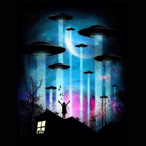 rabbitholebot's tweet image. 