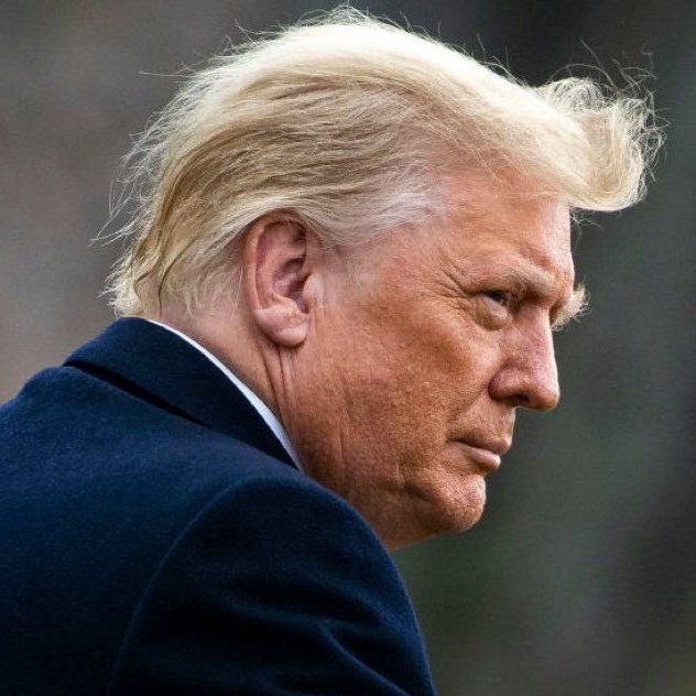 eduardomenoni's tweet photo. 🚨| ÚLTIMA HORA: El presidente electo Donald Trump está planeando declarar un estado de emergencia y deportar masivamente a inmigrantes ilegales. Se jodio el Tren de Aragua y los que llegaron a violar las leyes. 🔥 ¿Apoyas a Donald Trump en esto? https://t.co/bUVywrre0f