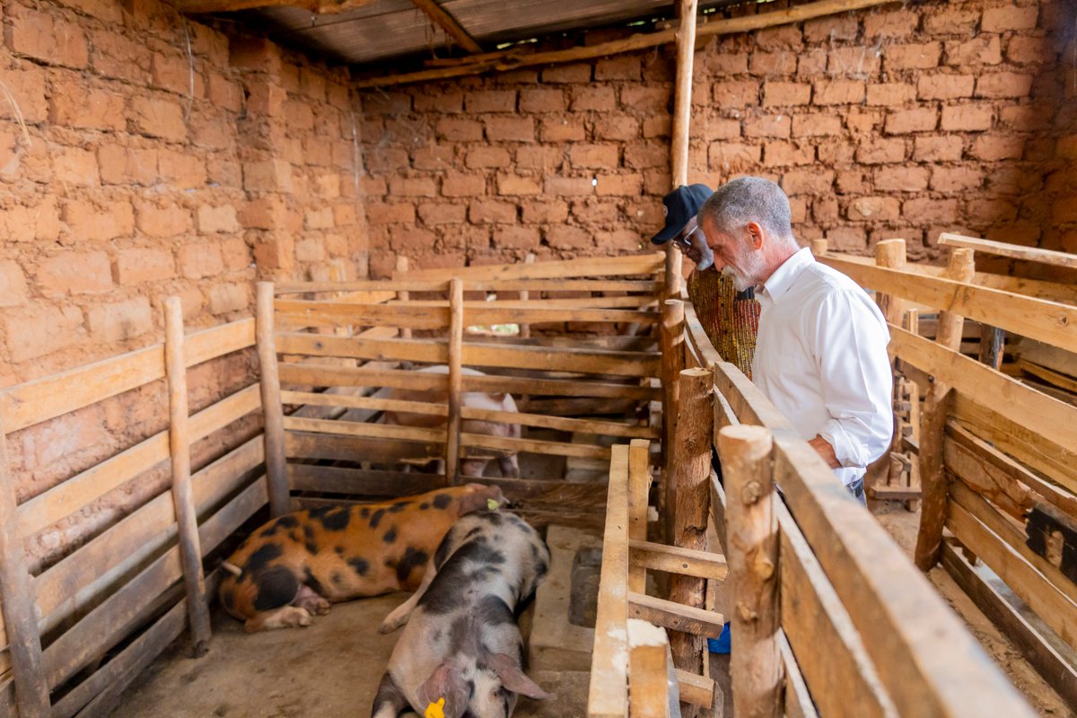 We are proud of the SwinElite Farm project, initiated by a group of final-year RICA students. Recently, the Institute’s leadership visited the farm near campus, demonstrating their support for student-led initiatives. 

This project offers valuable opportunities for local