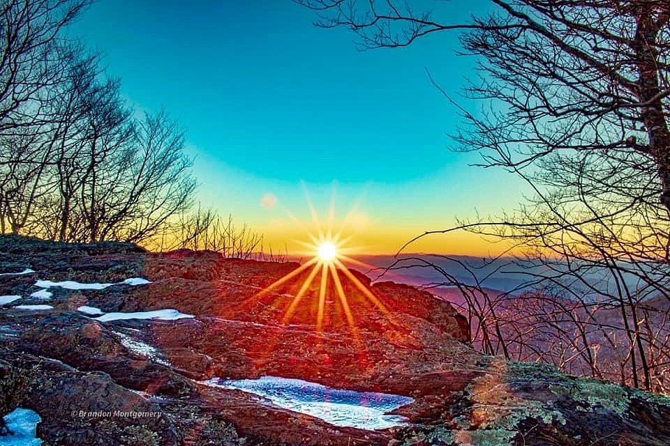 Edgar Allen Lee tweet media