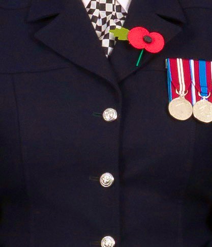 We Will Remember Them 

#WeWillRememberThem
<a href="/metpoliceuk/">Metropolitan Police</a> <a href="/PoppyLegion/">Royal British Legion</a> <a href="/RoyalNavy/">Royal Navy</a> <a href="/BritishArmy/">British Army 🇬🇧</a> <a href="/RoyalAirForce/">Royal Air Force</a>