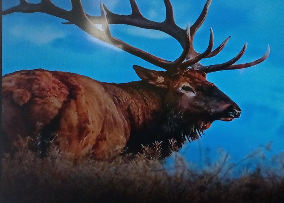 YatNz's tweet image. 真に神秘🍁🪨🪵
#絶景 #holybeautifulsight #fallart