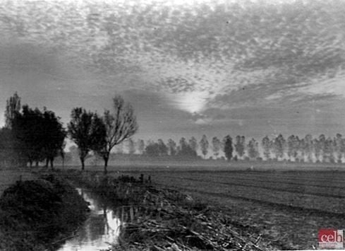 Nou article: Per fer honors a la nostra història, ara que en fem 100…  (II) buff.ly/4epV7tt