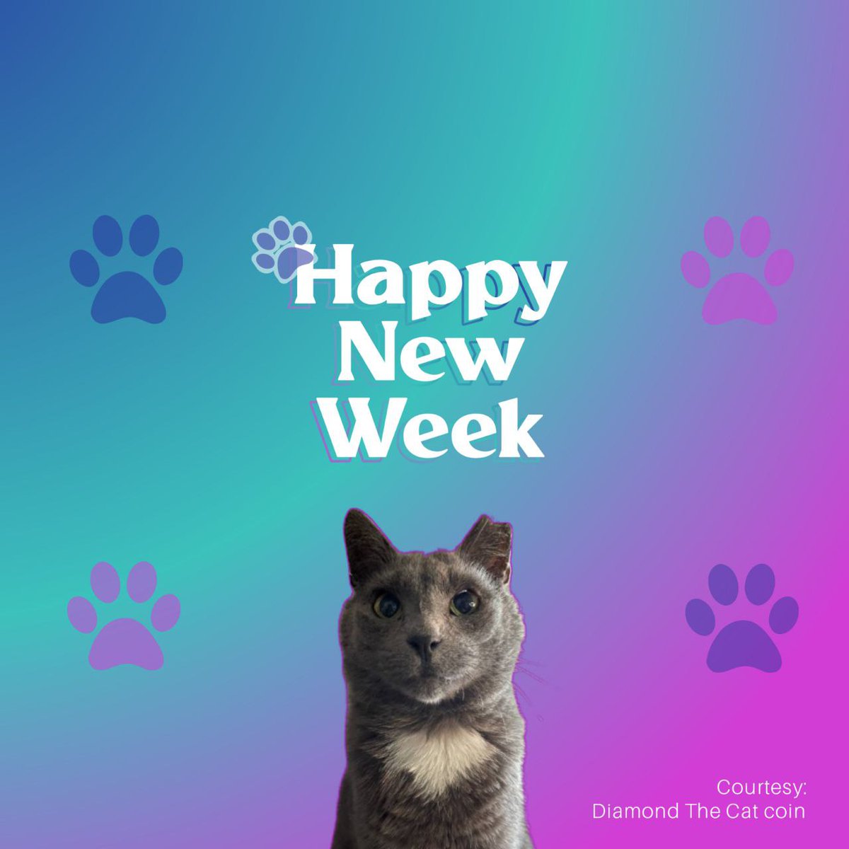 Good Morning Everyone.

Good to have everyone back and Narrative moving abroad...

Special Creations in Offers happening soon... 

All for the Strays...