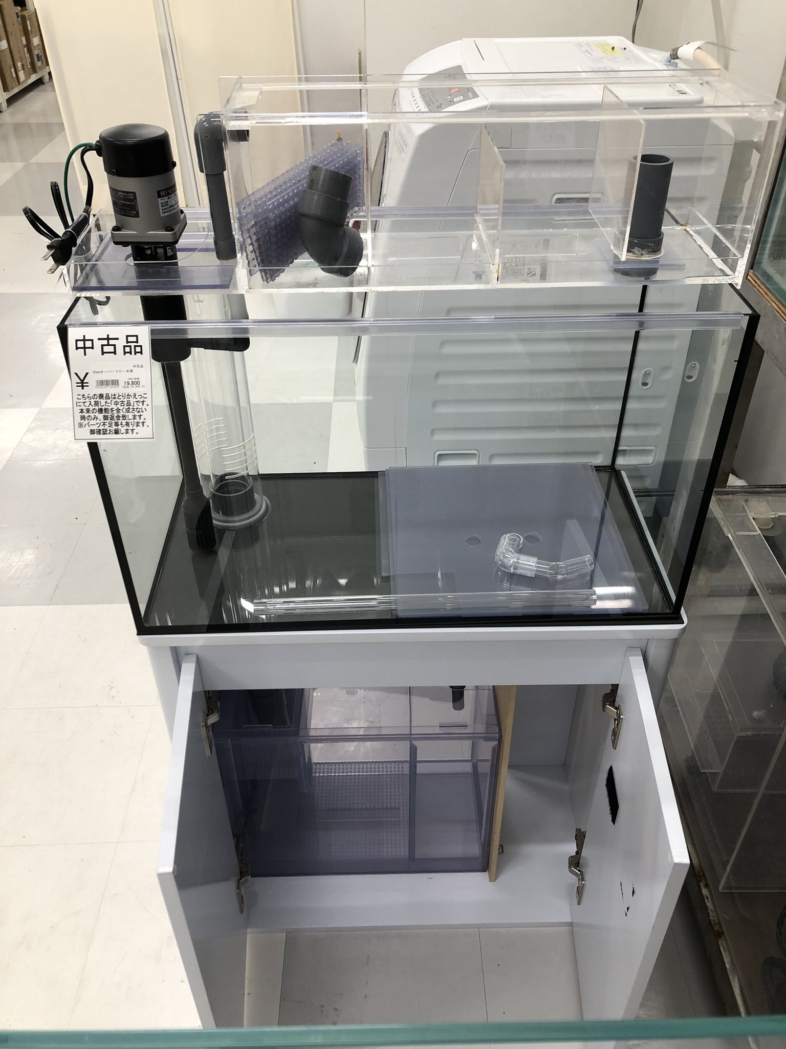 中古ガラスオーバーフロー水槽セット綺麗です！