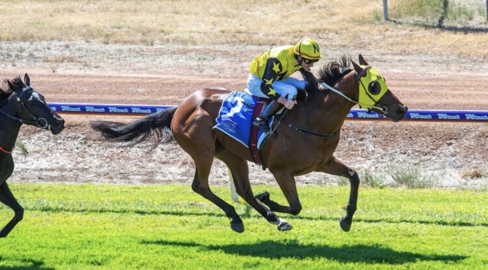 wesmartin24's tweet photo. Sensational work @Fernie_Racing $26/1 🤑#LightningGold https://t.co/IGnTnZh7Zs