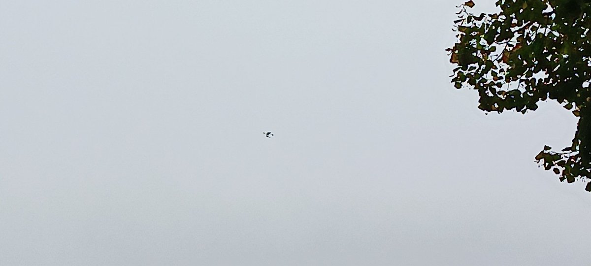 Sascha1982wtal's tweet image. Drohe ist auch in der Luft #WSVMSV