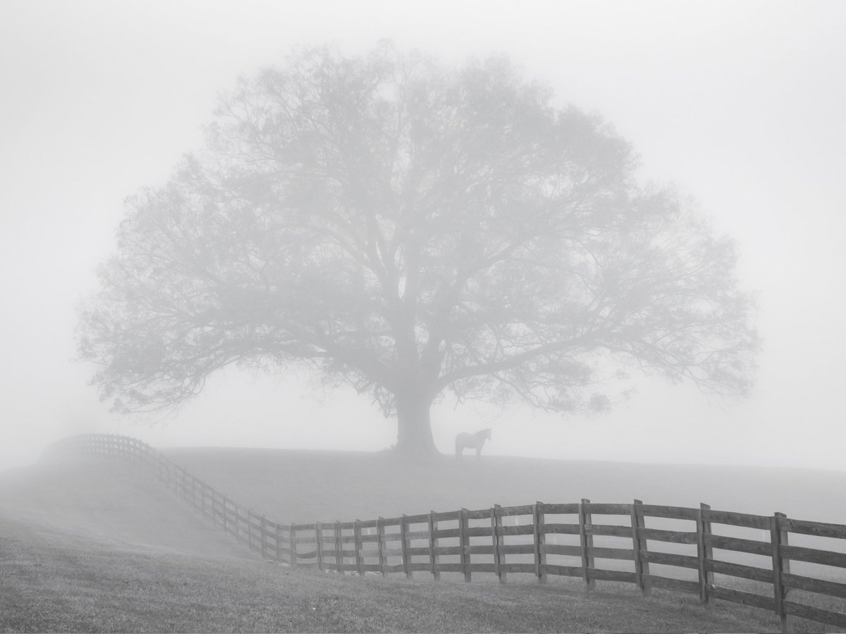 Michael Gillman tweet media