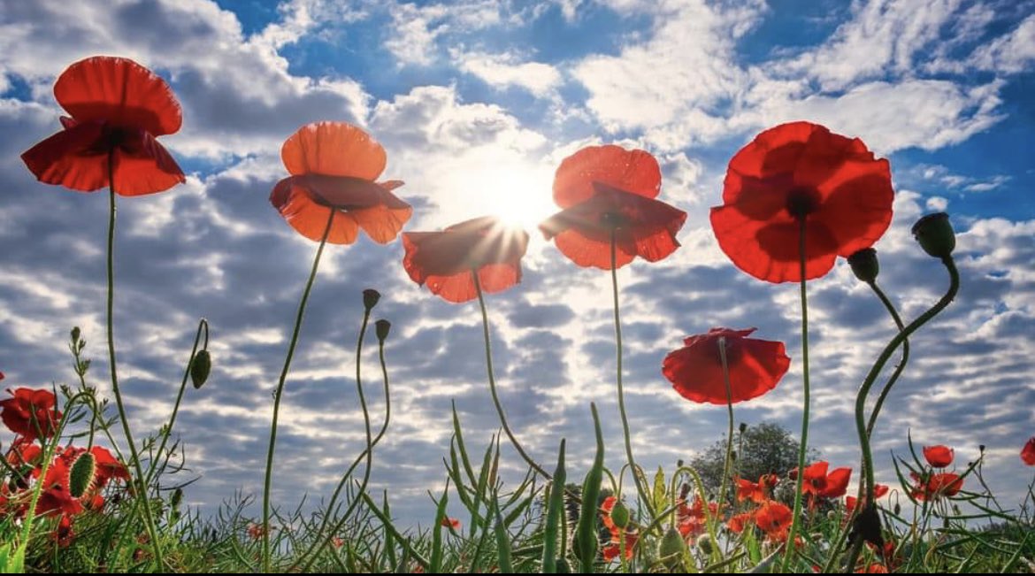 Laura Howat tweet media