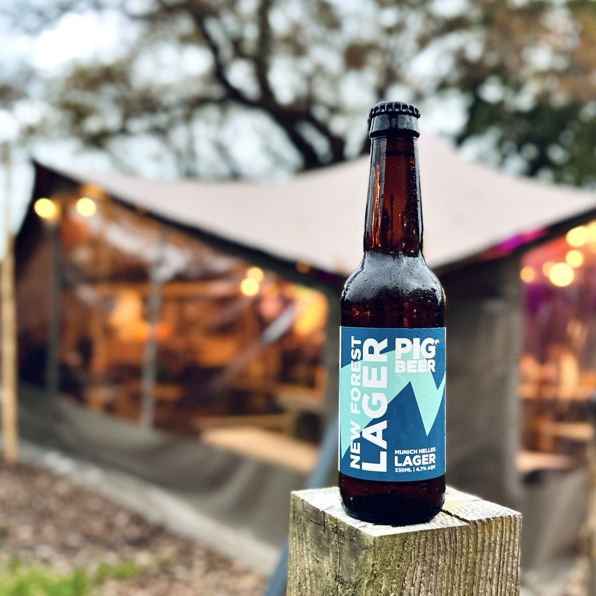 PIGBEERCO's tweet photo. Cheers to the New Forest! 🍻 Our Munich Helles Lager is here, brewed with a smooth, crisp finish that’s as refreshing as the forest itself. Swing by the PIG BEER tent, grab a pint, and enjoy the cozy vibes. 🌲 #NewForestLager #CraftBeer #PigBeer https://t.co/oMHCULmmIX