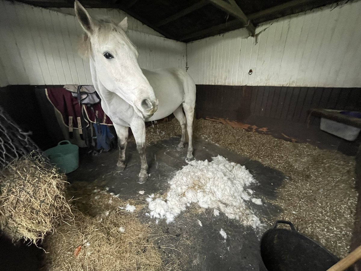 Clipping day! 😂