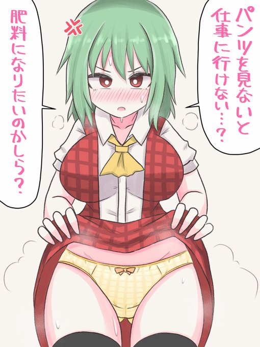 月曜が嫌すぎるので幽香りんパンツみせて
#東方Project 