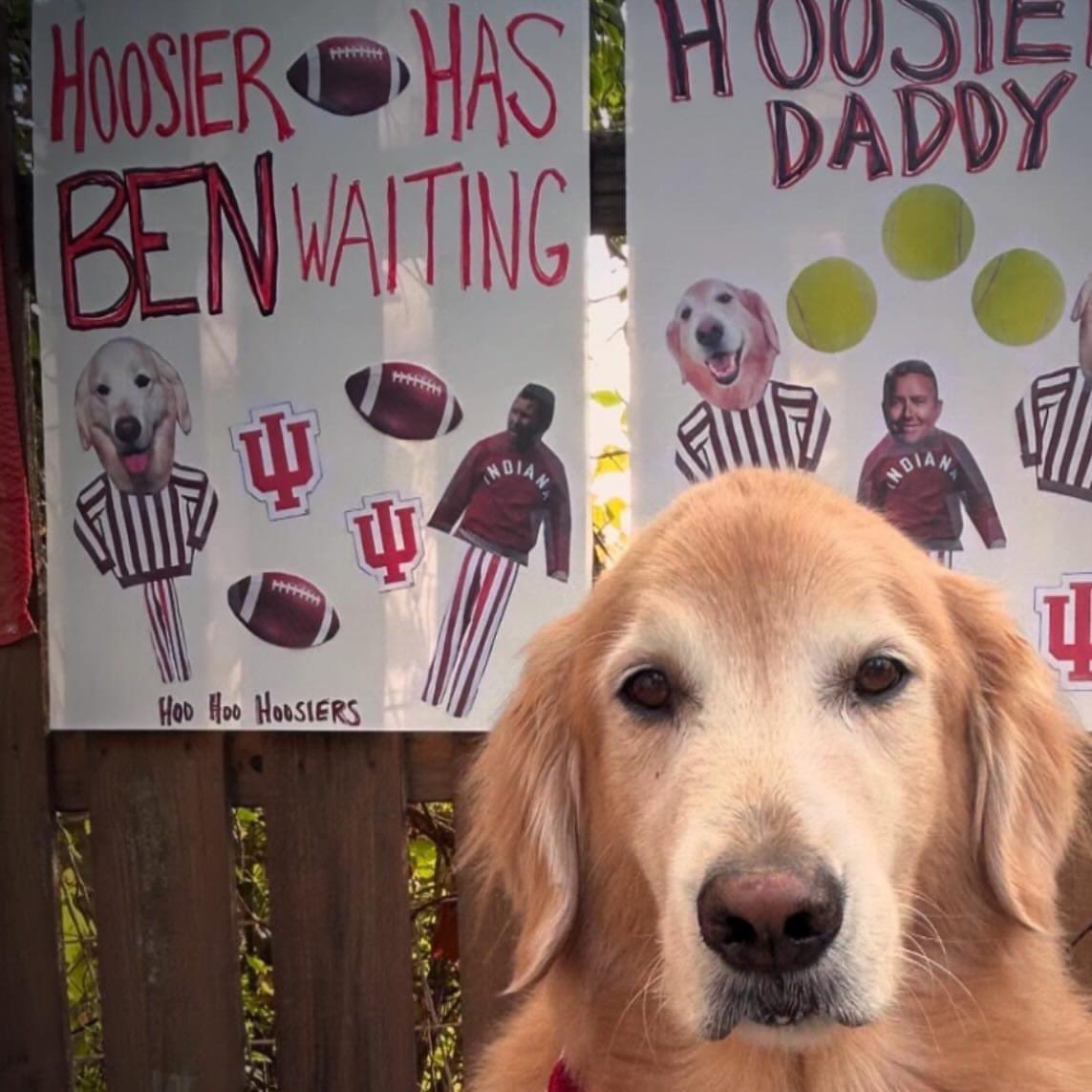 lisamckale's tweet photo. @kirkherbstreit @collegegameday Ben from all of us furry creatures thank you for sharing your Saturdays with us. And Herbie thank you for allowing us to see love through a humans eyes. ❤️ Your Biggest Fan- Mr Wriglesworth #ripben #benherbstreit #collegegameday 🐶❤️🏈 https://t.co/zwj128tsFv