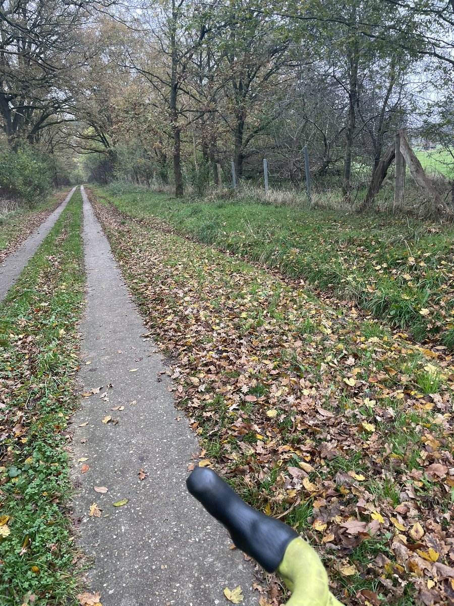 nudiscowilli's tweet photo. Radrunde im Wald #cycling am Sonntagmorgen https://t.co/HwGInEdgLb